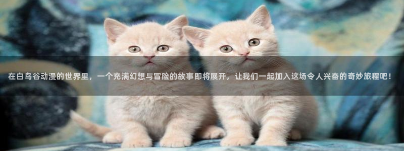 火狼动漫官网旧版在线观看