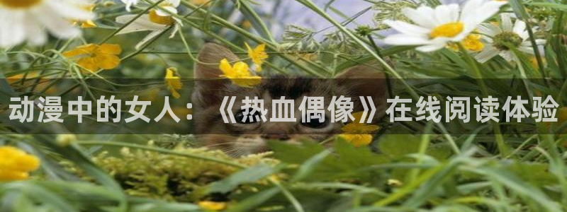 火狼动漫网观看在线